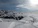 36 Ciaspolando in pista battuta